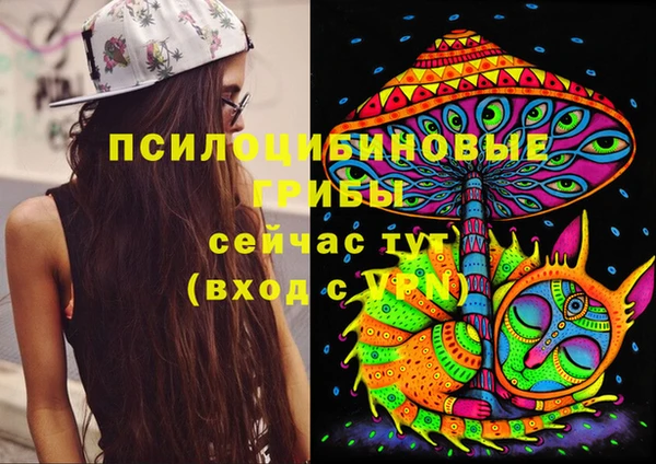 гидра Россошь
