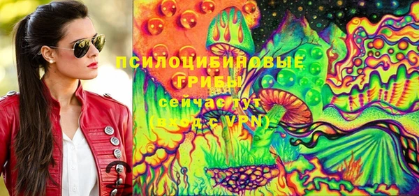 гидра Воткинск